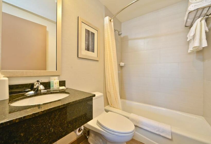 标准间, Comfort Inn Manhattan Midtown West