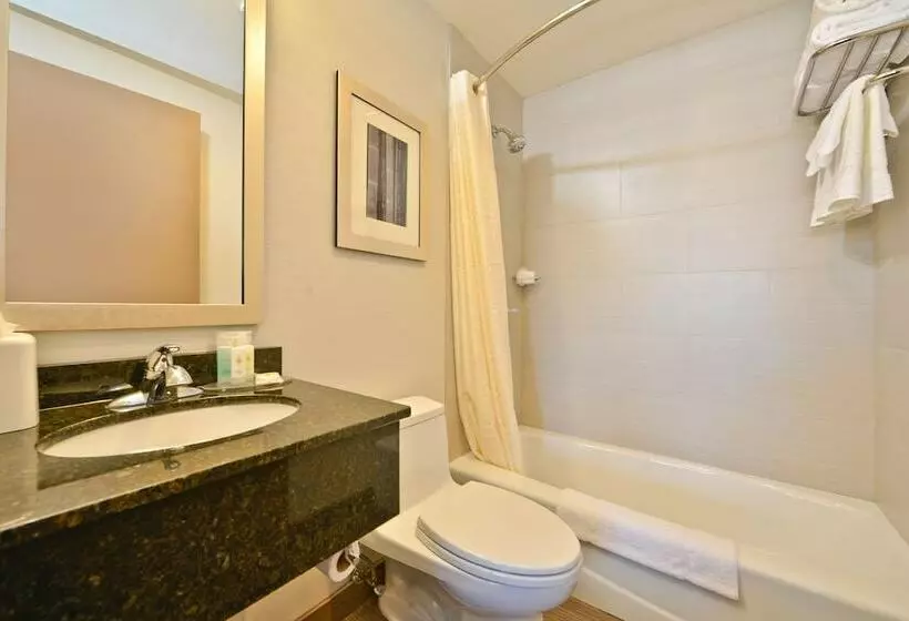 Standard-huone, Comfort Inn Manhattan  Midtown West