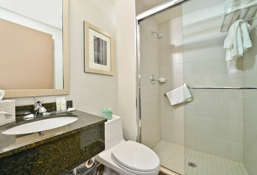 标准间, Comfort Inn Manhattan Midtown West