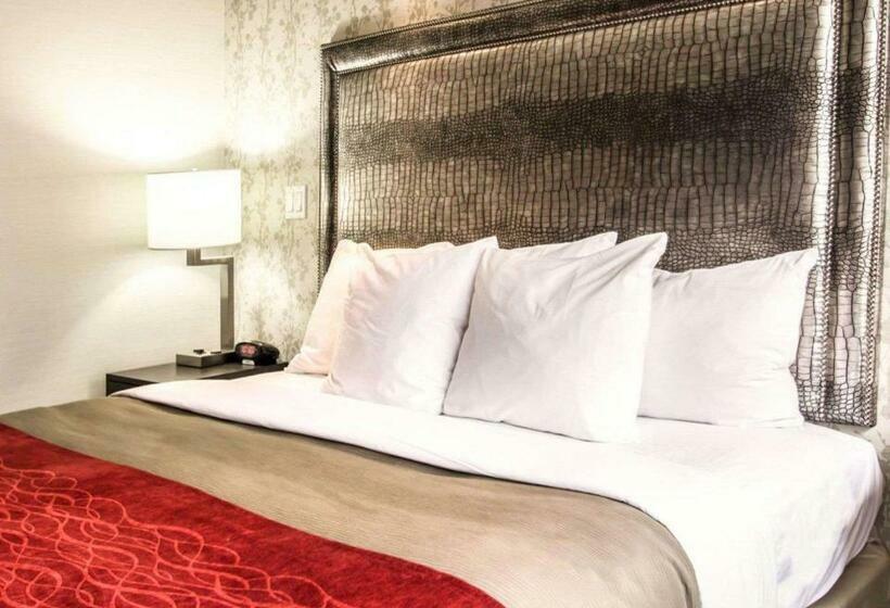 带大床的标准间, Comfort Inn Manhattan Midtown West