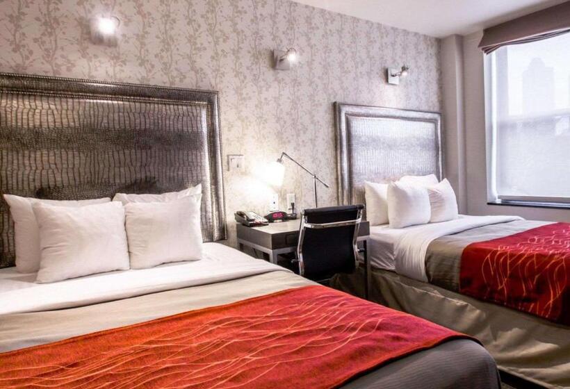 带大床的标准间, Comfort Inn Manhattan Midtown West