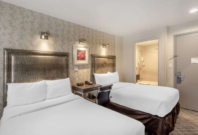 标准间, Comfort Inn Manhattan Midtown West