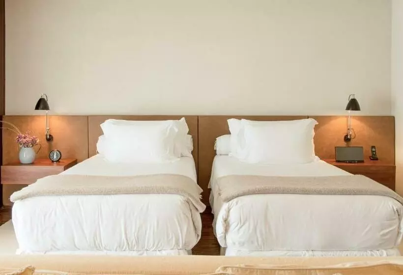 デラックスバンガロー, Fasano Punta Del Este