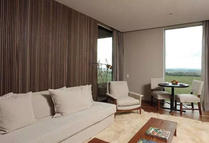 スイート, Fasano Punta Del Este