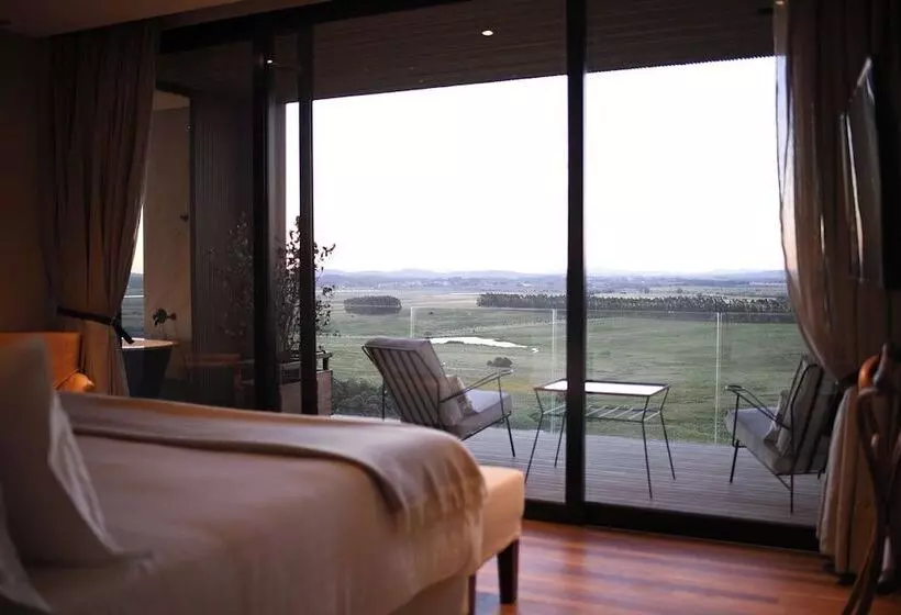 スイート, Fasano Punta Del Este