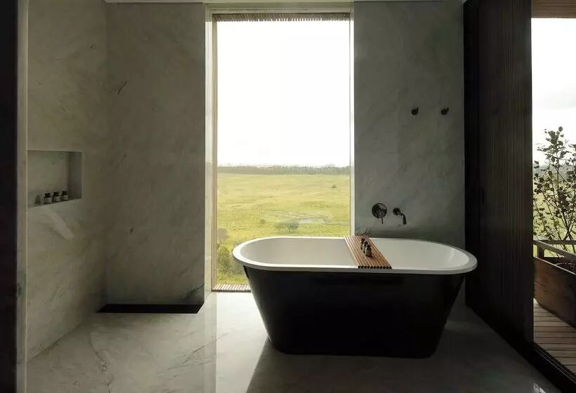 スイート, Fasano Punta Del Este