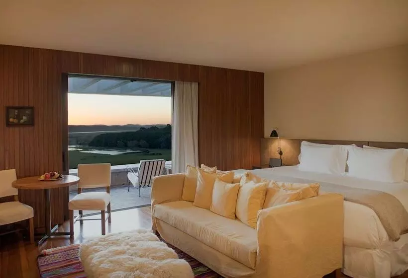 デラックスバンガロー, Fasano Punta Del Este