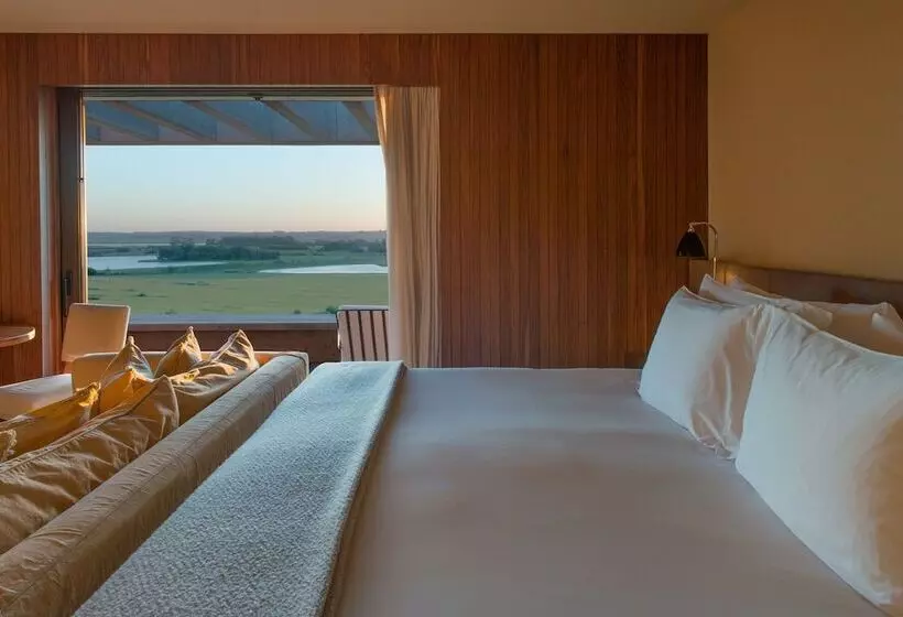 デラックスバンガロー, Fasano Punta Del Este