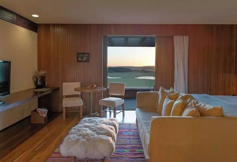 デラックスバンガロー, Fasano Punta Del Este