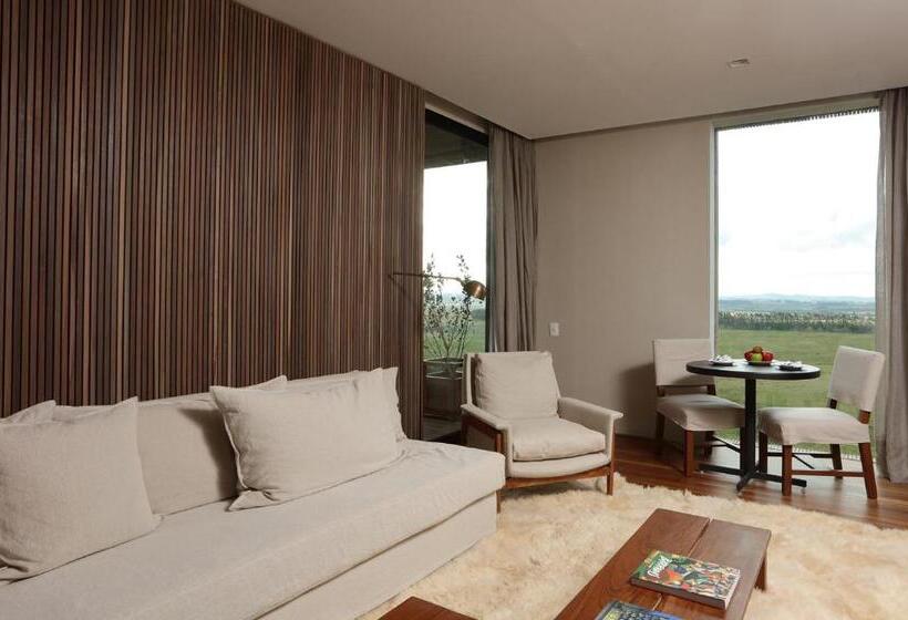 سوئیت با تخت بزرگ, Fasano Punta Del Este