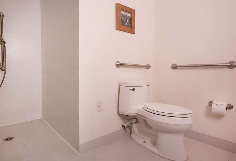 小型套房, Hampton Inn By Hilton Guadalajara/expo