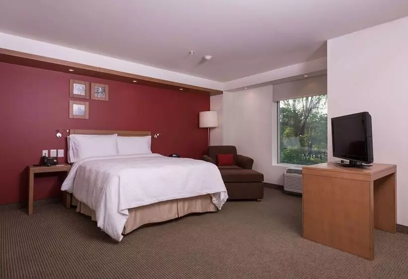 سوییت جونیور, Hampton Inn By Hilton Guadalajara/expo