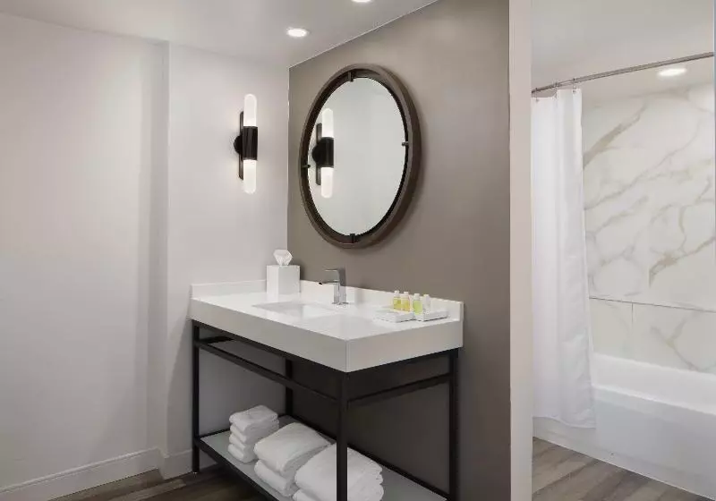 اتاق استاندارد برای معلولان, Hampton Inn By Hilton Guadalajara/expo