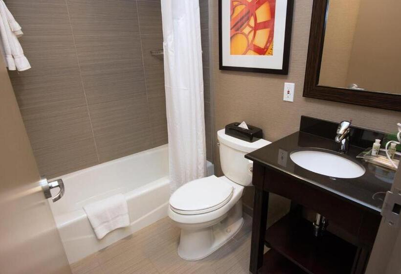 带2个双人床的标准工作室, Holiday Inn Lower East Side, An Ihg