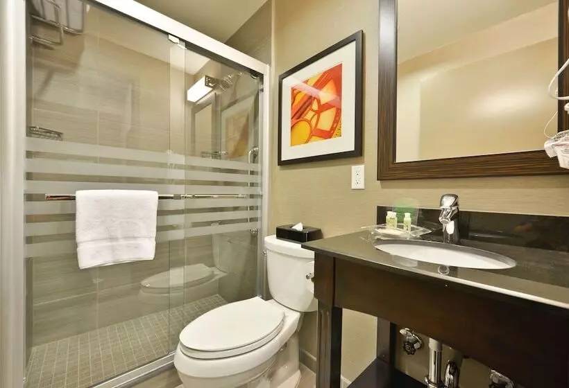 Standard-huone 2 Parivuodetta, Holiday Inn Lower East Side, An Ihg