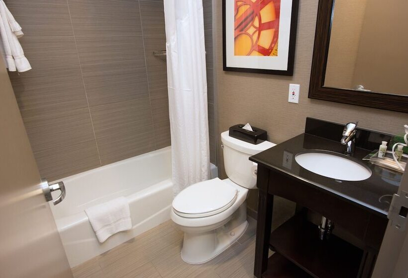 带2个双人床的标准工作室, Holiday Inn Lower East Side, An Ihg