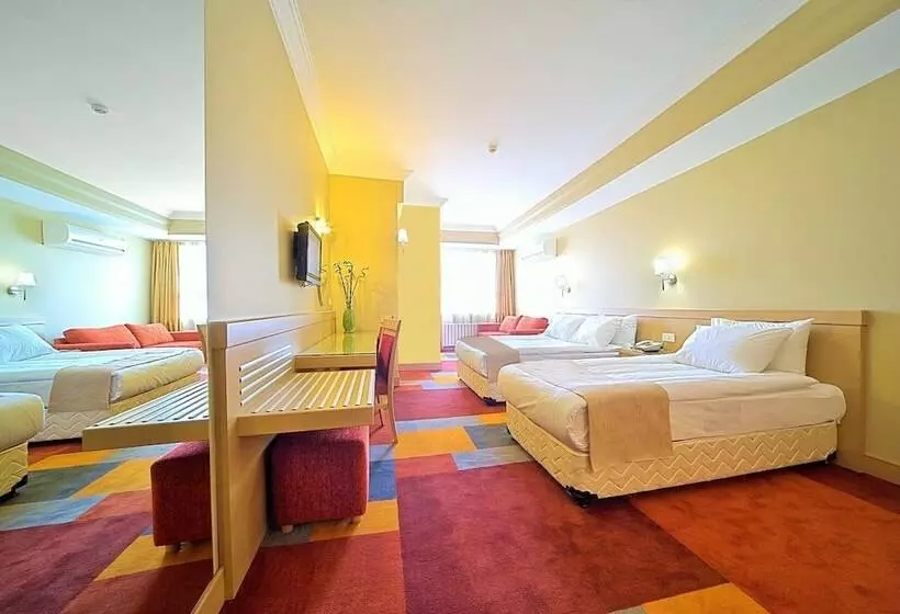 اتاق استاندارد, Sv Business Hotel Diyarbakır