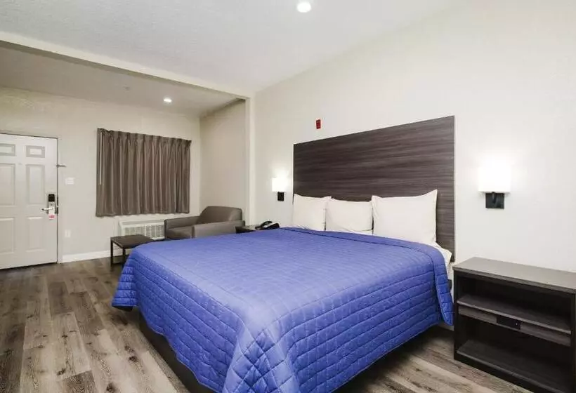 اتاق استاندارد با تخت بزرگ, Winchester Inn And Suites Humble/iah/north Houston