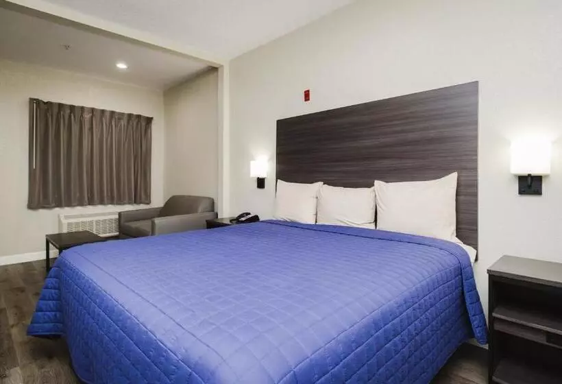 اتاق استاندارد با تخت بزرگ, Winchester Inn And Suites Humble/iah/north Houston