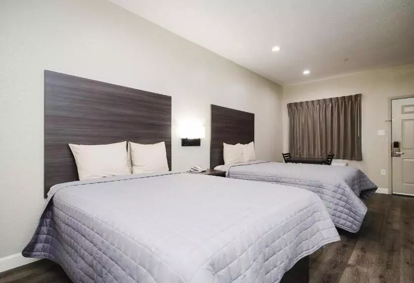 اتاق استاندارد, Winchester Inn And Suites Humble/iah/north Houston