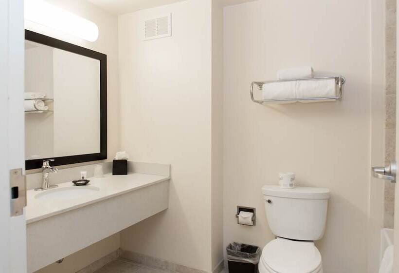 디럭스 룸, Chicago South Loop