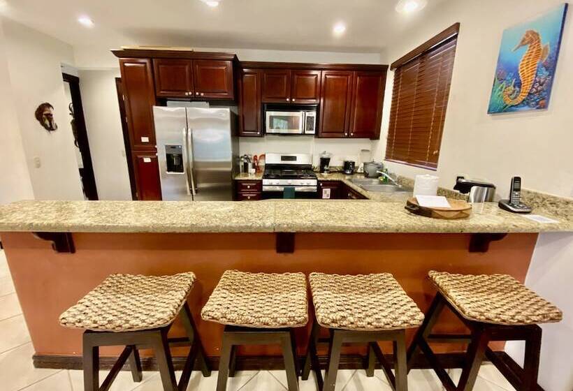 带1个卧室带泳池的公寓, Monte Carlo Luxury Condominiums