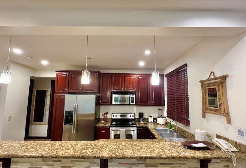 带1个卧室的豪华公寓, Monte Carlo Luxury Condominiums