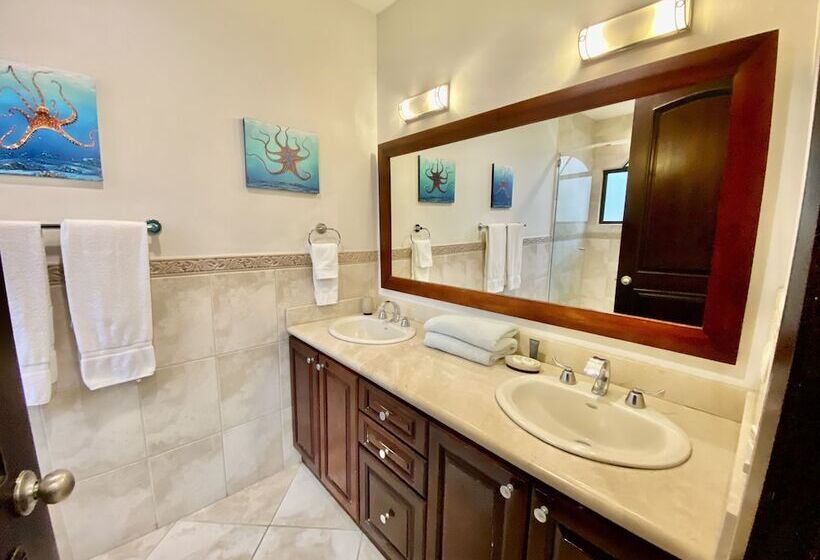 带1个卧室带泳池的公寓, Monte Carlo Luxury Condominiums