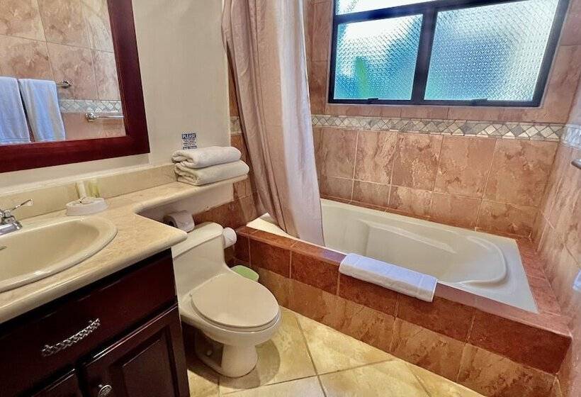 带1个卧室的豪华公寓, Monte Carlo Luxury Condominiums