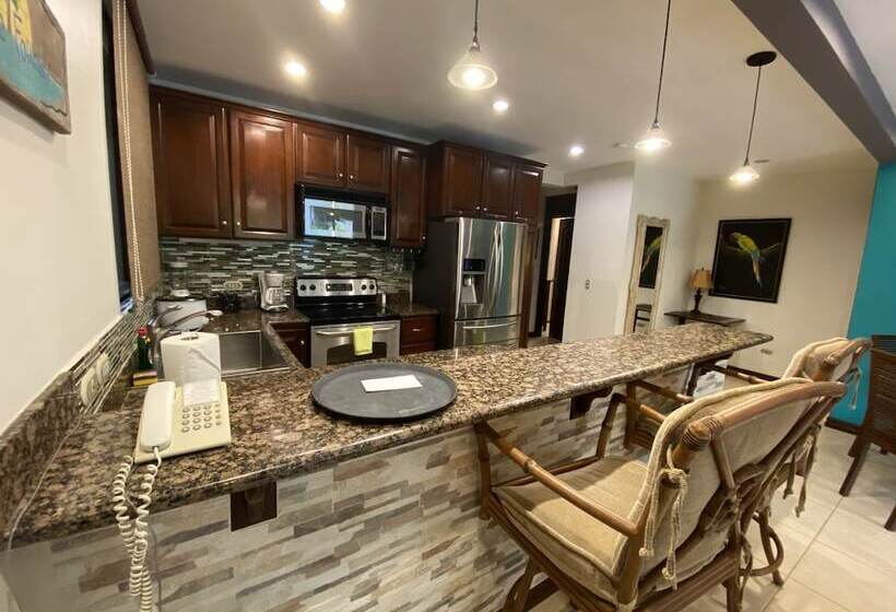 低层单卧公寓, Monte Carlo Luxury Condominiums