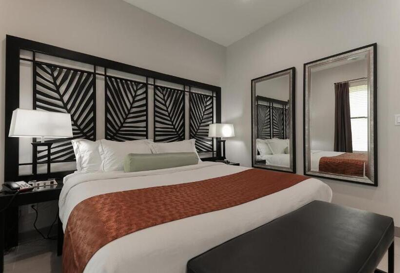 جناح سرير كينج, The Bungalows On Shary, Mission Mcallen