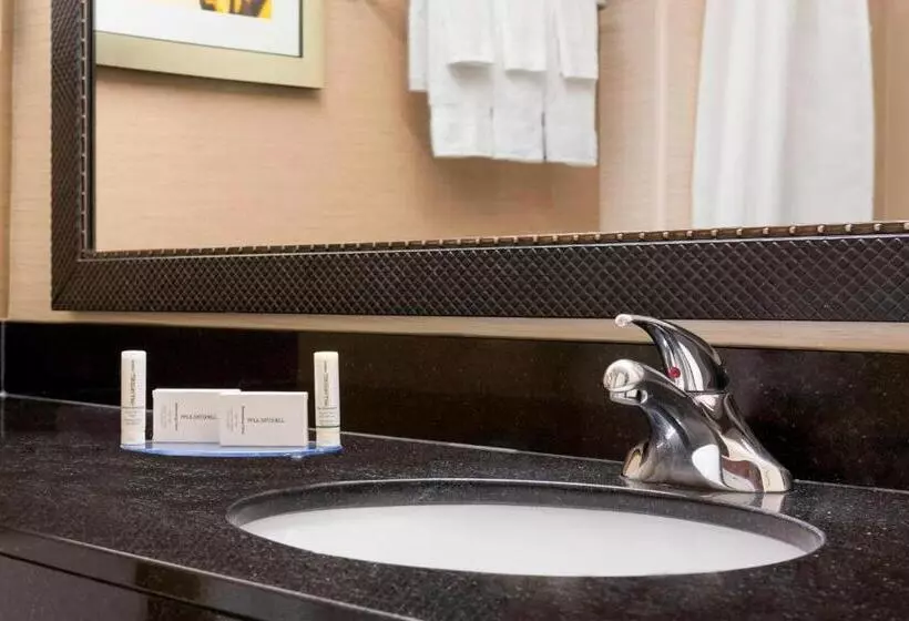 Standard-huone, Fairfield Inn & Suites Minneapolisst. Paul Airport