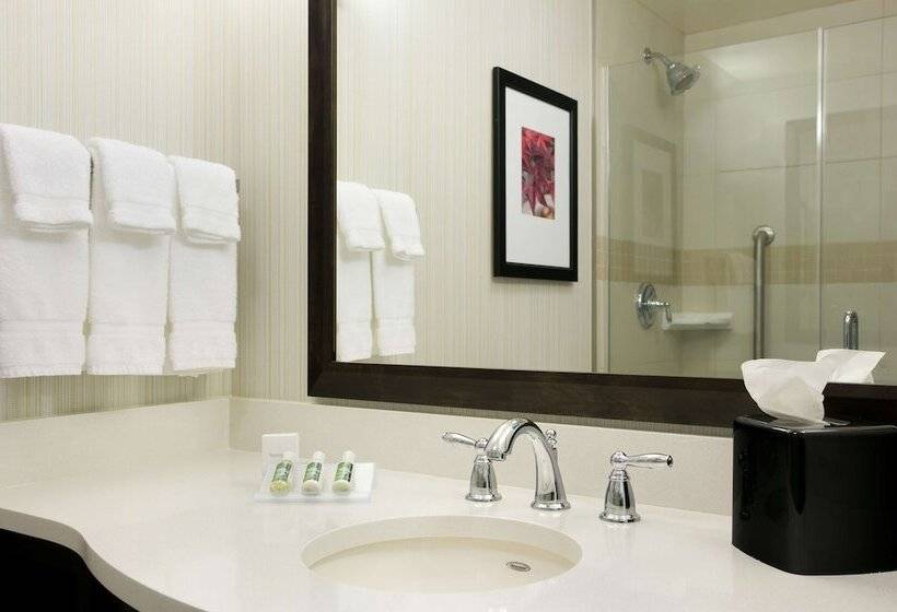 Полулюкс, Hilton Garden Inn Auburn