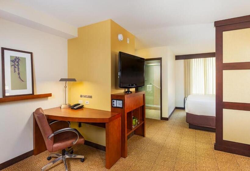 Стандартный Номер Кровать Кинг, Hyatt Place San Diego/vista Carlsbad