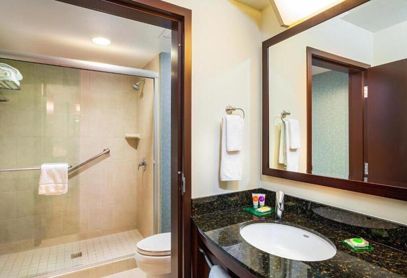 إستوديو قياسى سرير كينج, Hyatt Place San Diego/vista Carlsbad