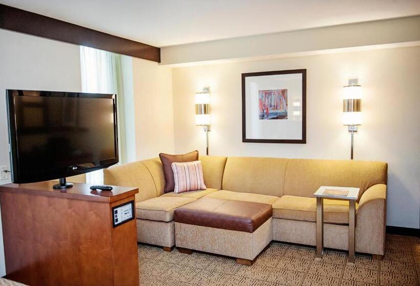 إستوديو قياسى سرير كينج, Hyatt Place San Diego/vista Carlsbad