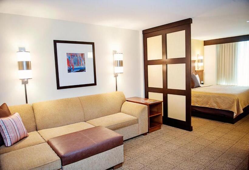 اتاق استاندارد با تخت بزرگ, Hyatt Place San Diego/vista Carlsbad