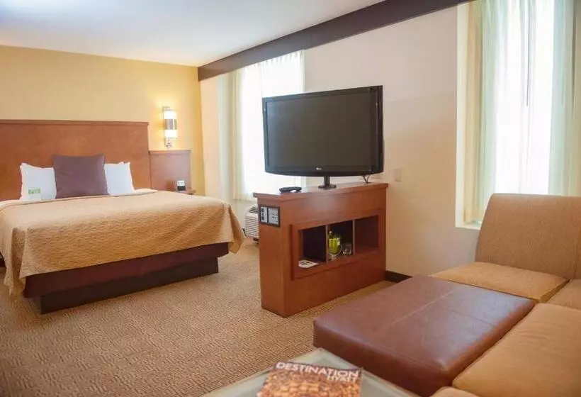 اتاق استاندارد با تخت بزرگ برای معلولان, Hyatt Place San Diego/vista Carlsbad