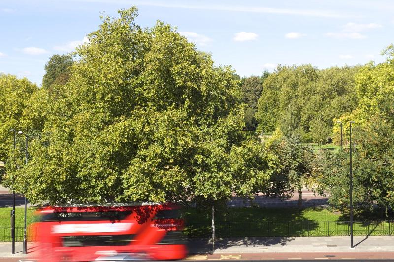 スイート, The Wellesley, A Luxury Collection Hotel, Knightsbridge, London