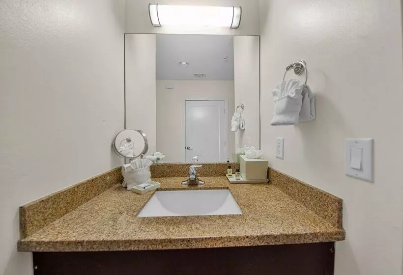 デラックスルーム, Peninsula Island Resort & Spa   Beachfront Property At South Padre Island