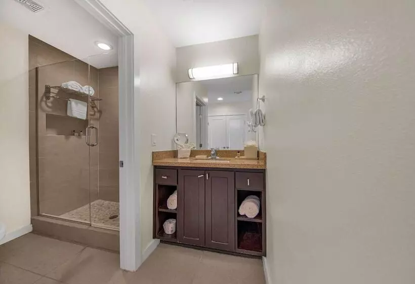 デラックスルーム, Peninsula Island Resort & Spa   Beachfront Property At South Padre Island