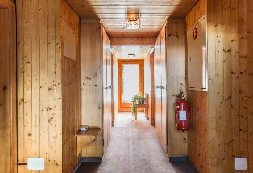 スタンダードシングルルーム, Burgener