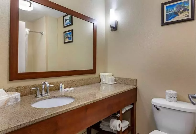 スイート, Comfort Suites Clayton Garner