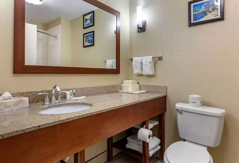 スイート, Comfort Suites Clayton Garner