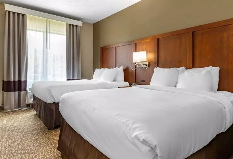 スイート, Comfort Suites Clayton Garner