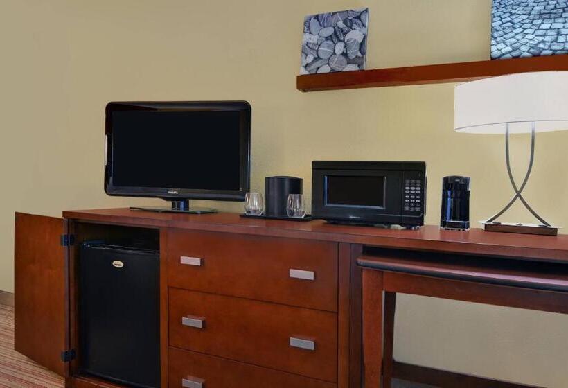 اتاق استاندارد با تخت بزرگ, Courtyard Shreveport Airport