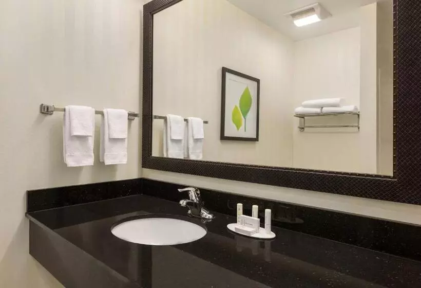 キングサイズベッドのスタンダードルーム, Fairfield Inn & Suites Jacksonville West/chaffee Point