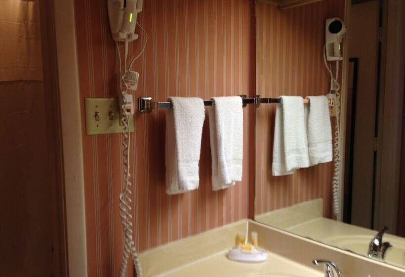 غرفة قياسية, Great American