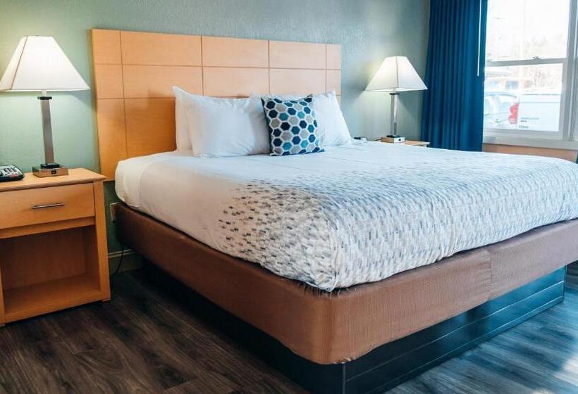 غرفة قياسية سرير كينج, Quiet Corner Inn