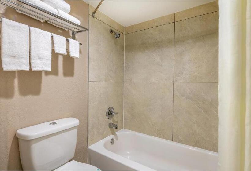 스탠다드 룸 킹사이즈 침대, Super 8 By Wyndham Mcdonough Ga